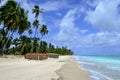 Beautiful tropical beach in Brazil, Maragogi, Alagoas, Nordeste Royalty Free Stock Photo